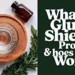 WHAT IS GLUCO SHIELD PRO & HOW DOES IT WORK